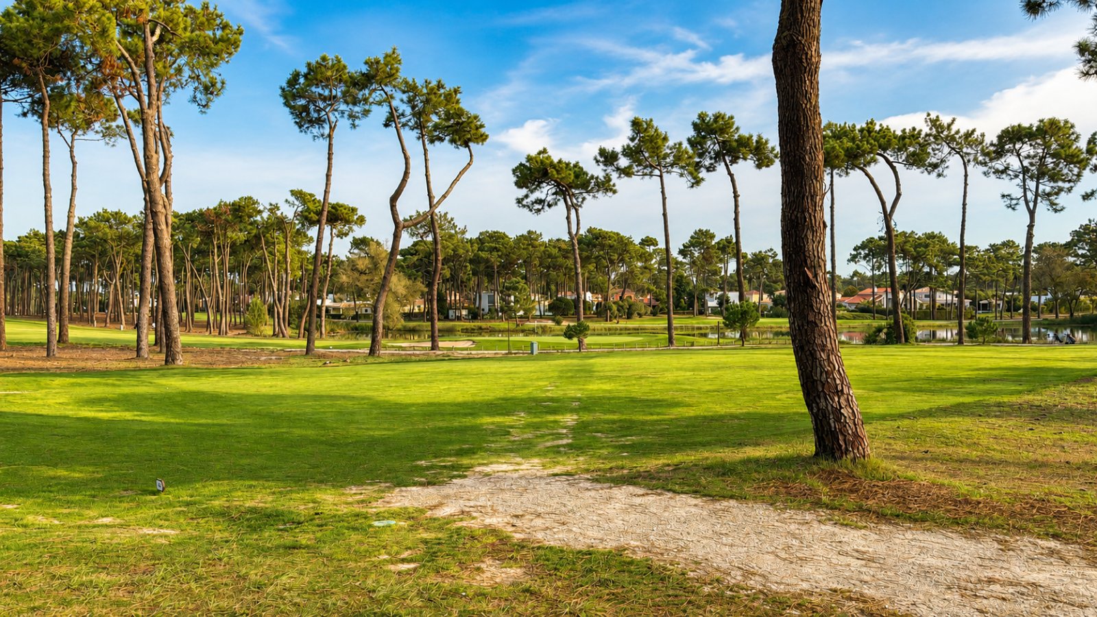 Aroeira golf course with umbrella pines and a pond