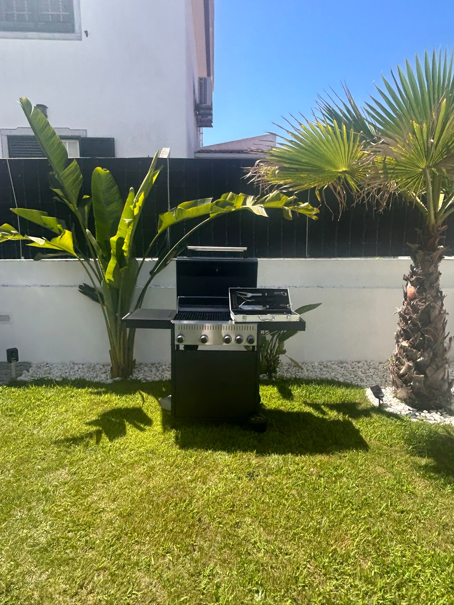 Gas barbecue grill on the lawn between palms in the garden