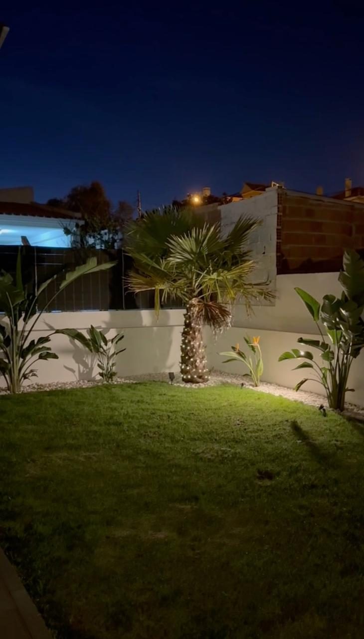 Palm wrapped in warm lights in the garden at dusk